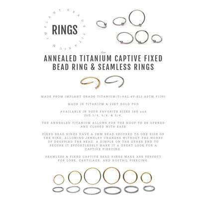 24Kt Gold PVD Titanium Seamless Split Ring