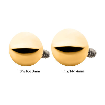 24KT Gold PVD Titanium Internally Threaded with Ball Top