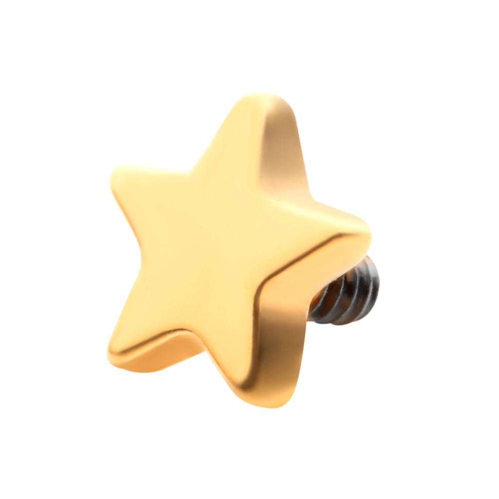 24KT Gold PVD Titanium Internally Threaded with Star Top