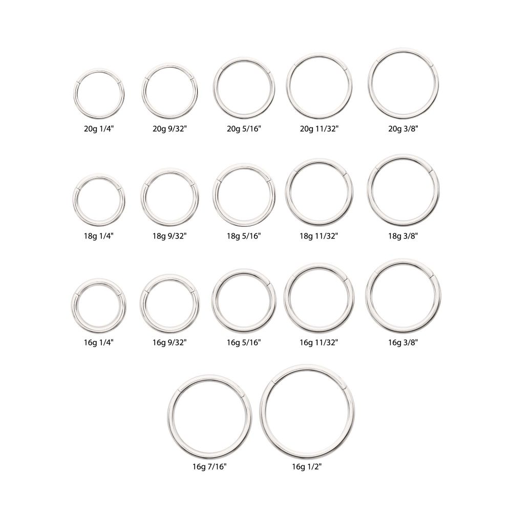 Platinum PVD Titanium Basic Hinged Segment Clicker