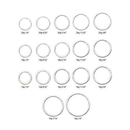 Platinum PVD Titanium Basic Hinged Segment Clicker