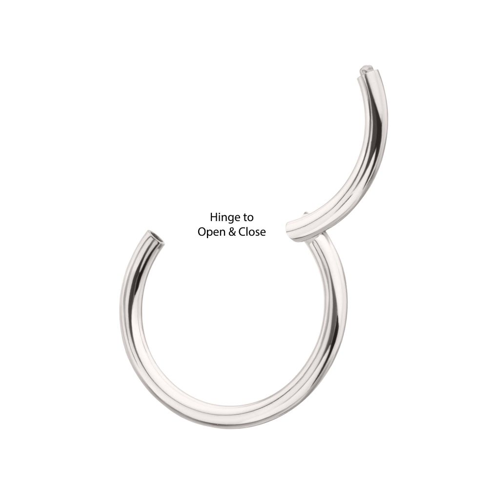 Platinum PVD Titanium Basic Hinged Segment Clicker