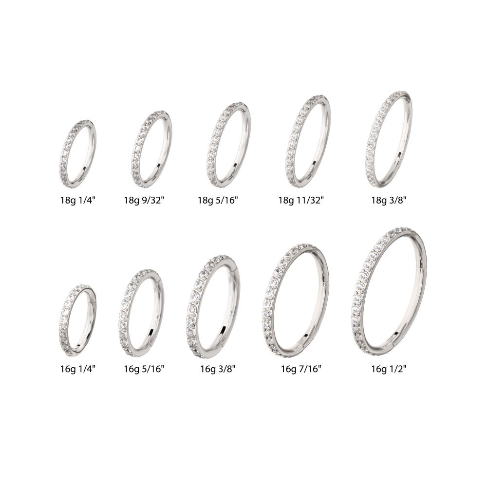 Platinum PVD Titanium 1mm CNC Set Full Clear CZ Eternity Gem Side Facing Hinged Segment Clicker