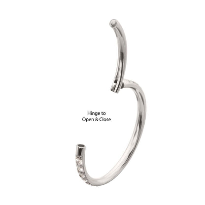 Platinum PVD Titanium 1mm CNC Set Full Clear CZ Eternity Gem Side Facing Hinged Segment Clicker