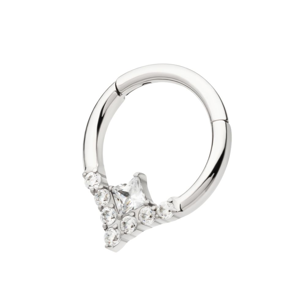 Titanium Clustered Prong Set Round CZ with Center Princess Gem Front Facing Hinged Segment Clicker