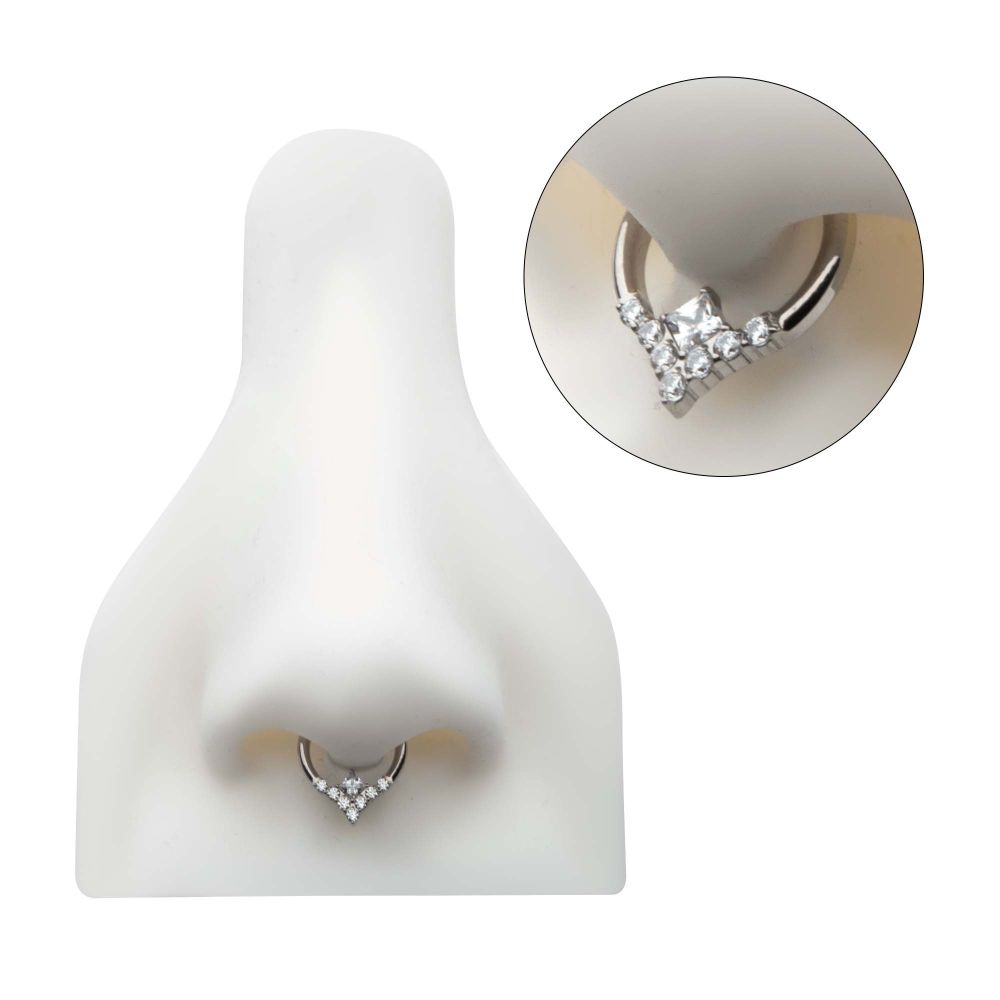 Titanium Clustered Prong Set Round CZ with Center Princess Gem Front Facing Hinged Segment Clicker