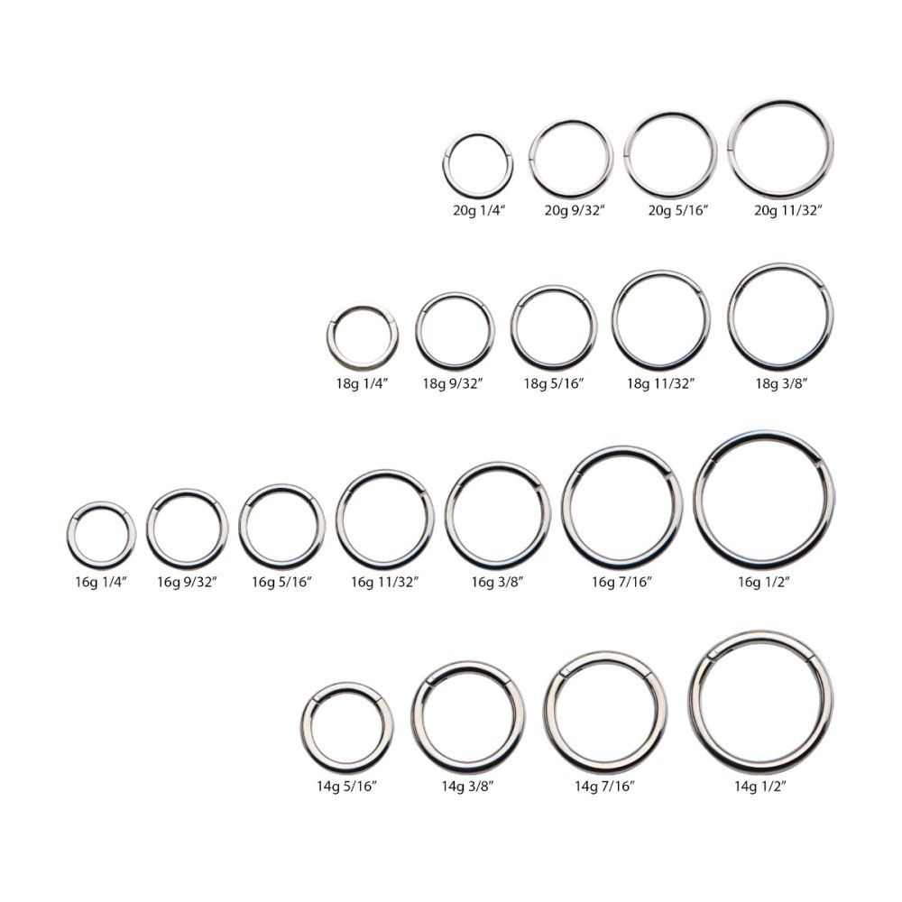 Titanium Hinged Segment Clicker (20g to 14g)