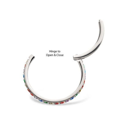 1mm CNC Set Rainbow Eternity CZ Titanium Side Facing Hinged Segment Clicker