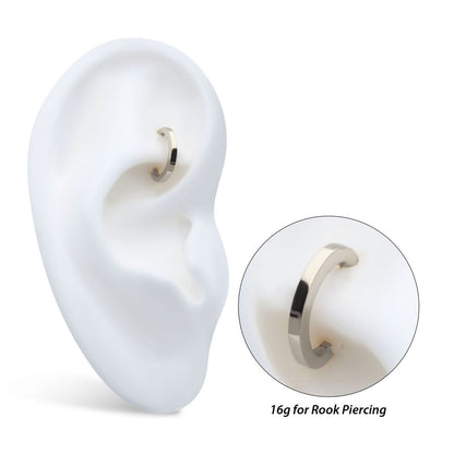 16g Titanium Oval Shape Hinged Segment Clicker (for Rook Piercing)