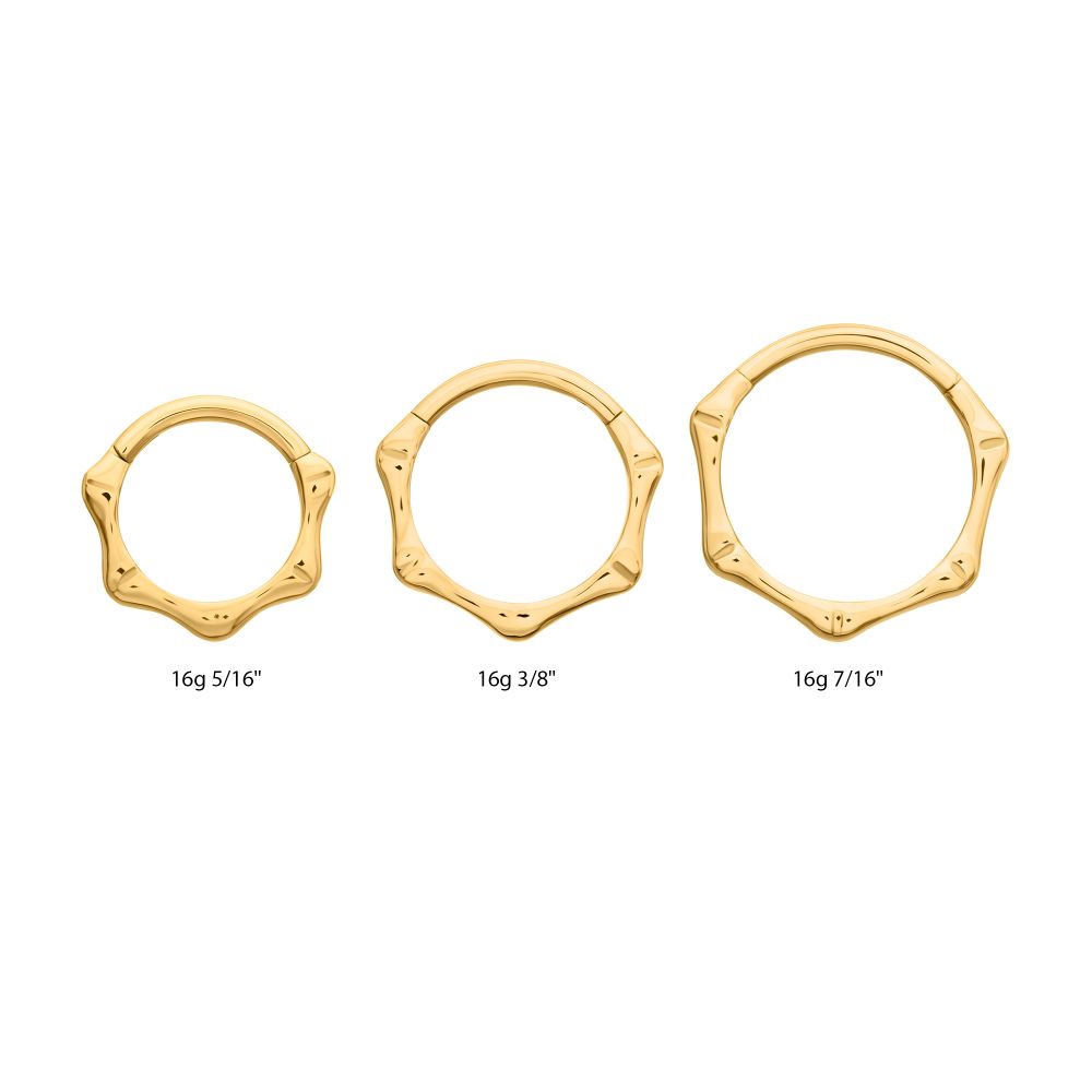 24KT Gold PVD Titanium Bone-Shaped Front Facing Hinged Segment Clicker