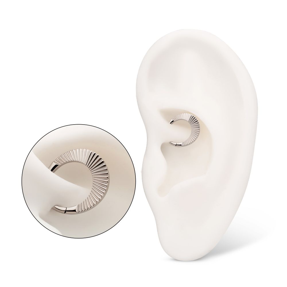 Titanium Radiant Wide Hoop Front Facing Hinged Segment Clicker