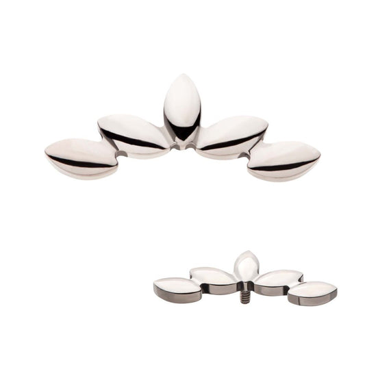 Titanium Internally Threaded 5-Cluster Fan Shape Top