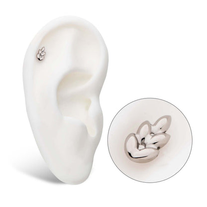 Titanium Internally Threaded Leaf Top