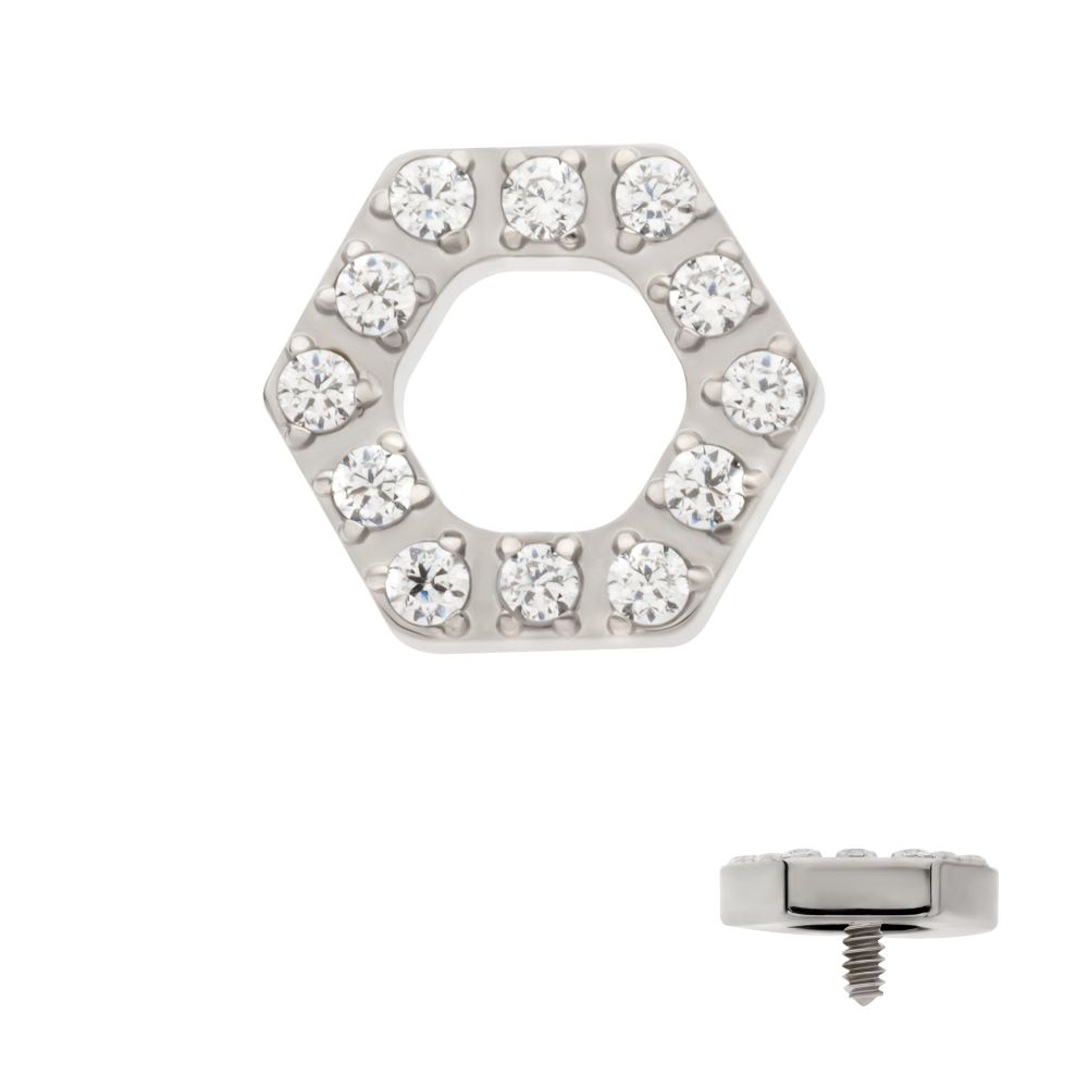 Titanium Internally Threaded Pave Set Round CZ Gem Hexagon Top