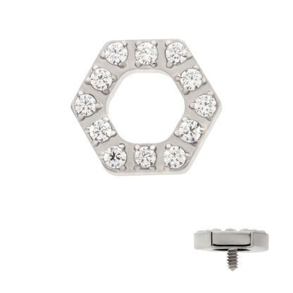 Titanium Internally Threaded Pave Set Round CZ Gem Hexagon Top