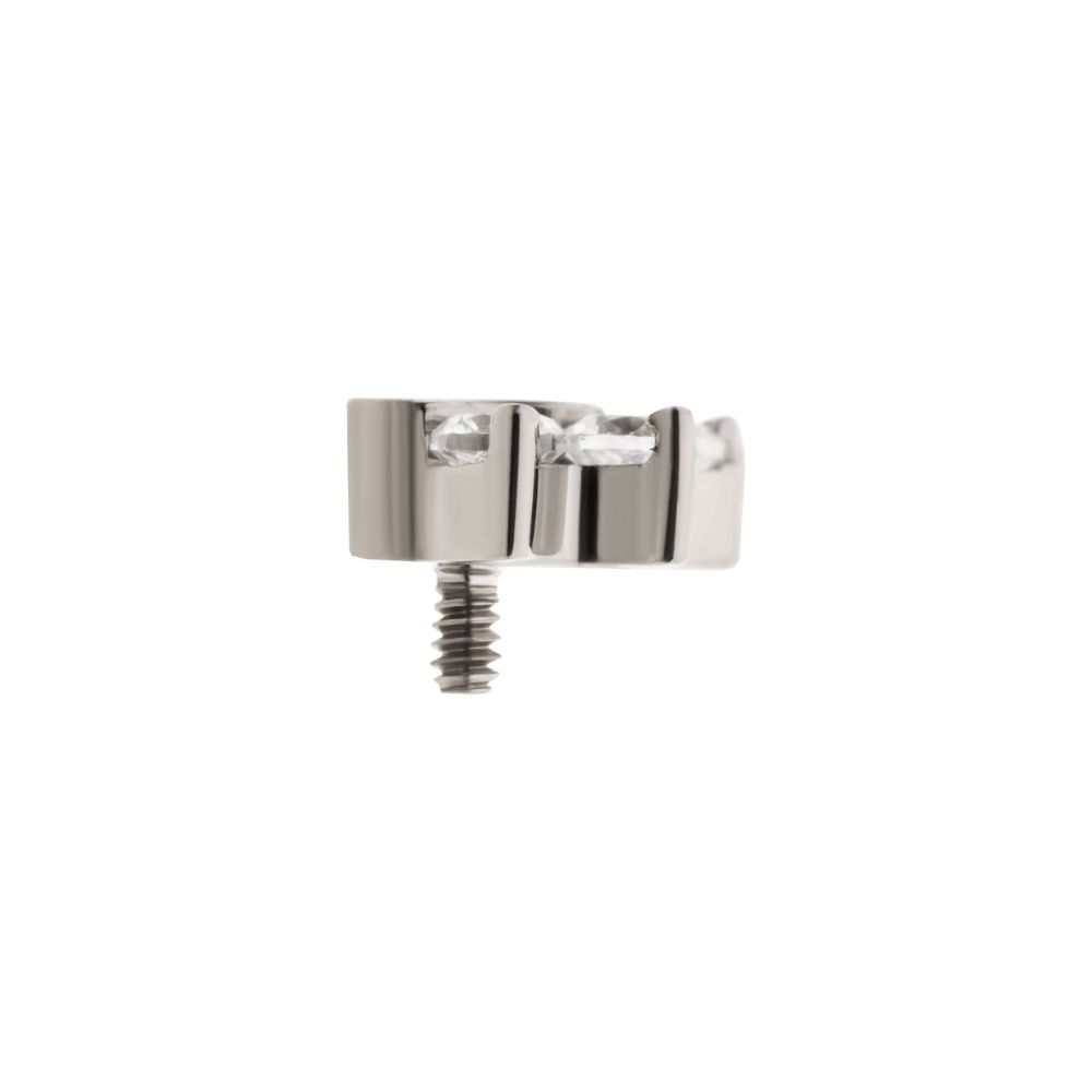 Titanium Internally Threaded with Opal/CZ 4-Cluster Paw Top