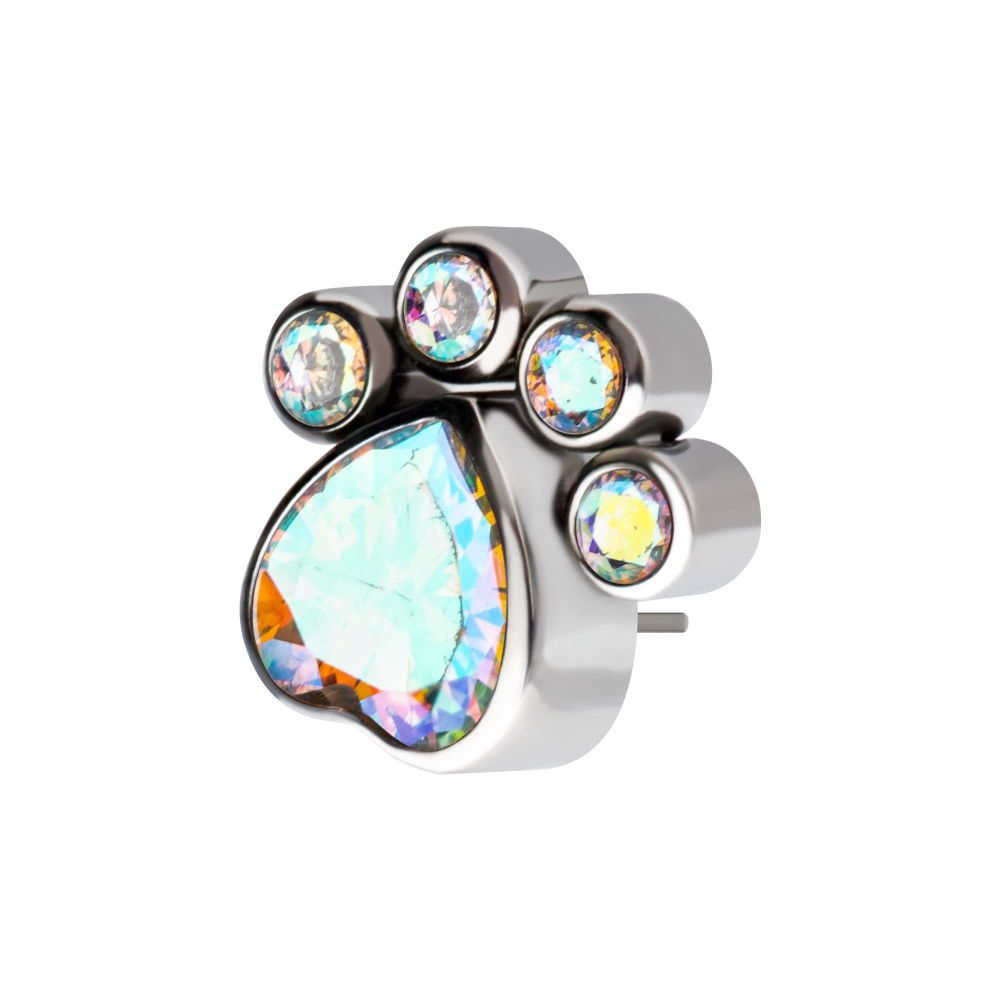 Titanium Threadless Bezel Heart & Round CZ Paw Top