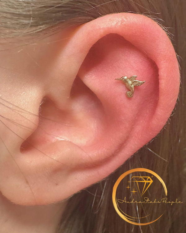 Gold hummingbird ear piercing